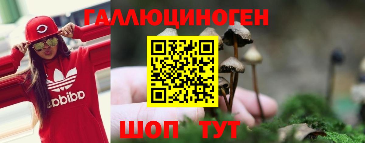 Галлюциногенные грибы мицелий  Псилоцибиновые грибы мицелий  Вход с VPN  Котельники 